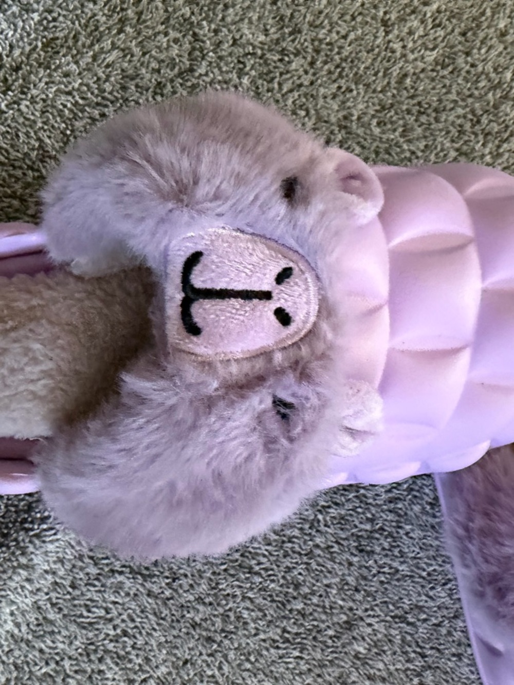 Slipper capibara